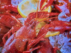 -桃夭日式料理(国信店)
