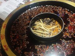 -一斗火锅·招财羊毛肚(上河城店)