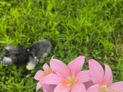-白鹭湾湿地公园