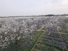 -江苏三台山国家森林公园