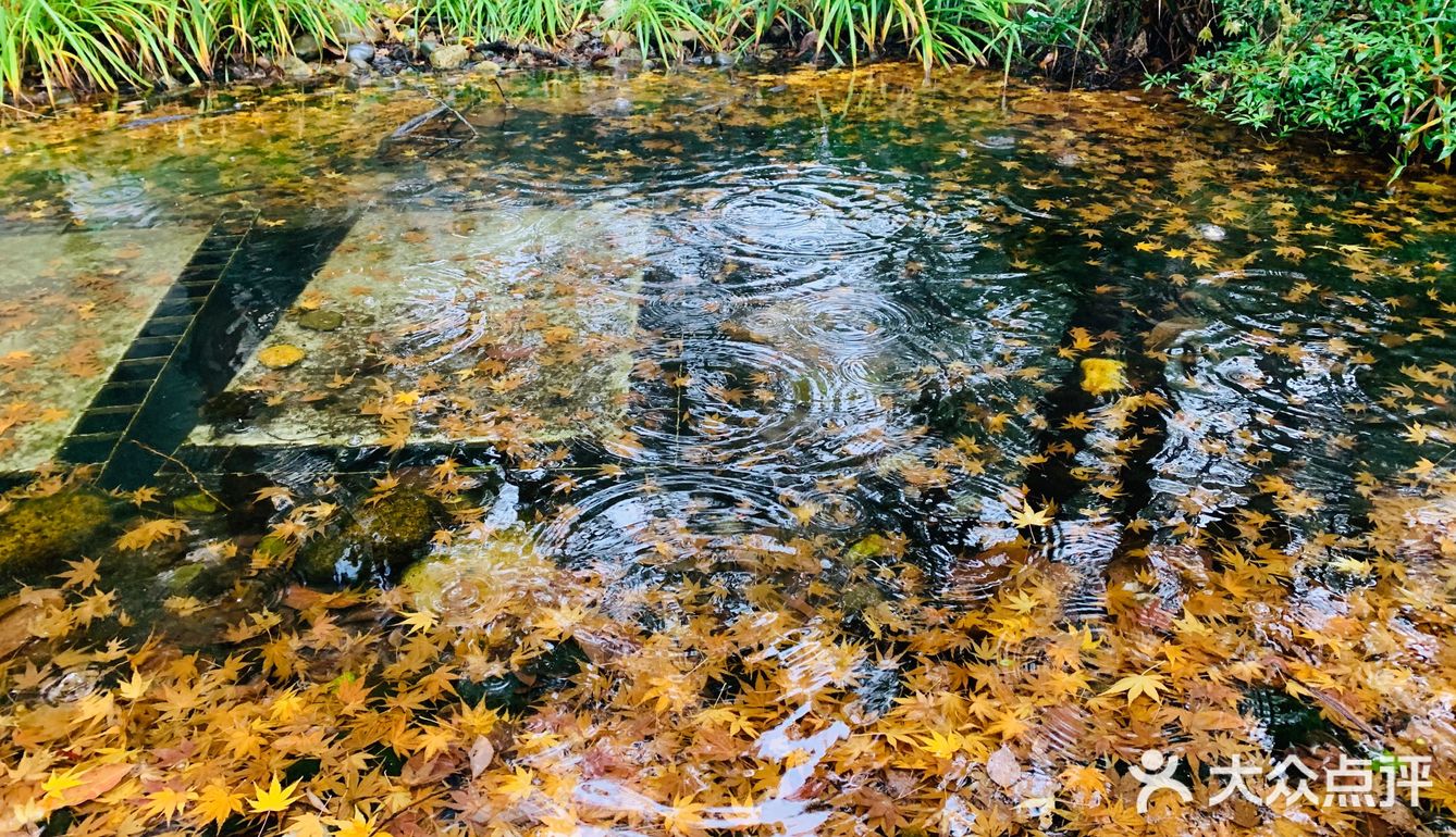 千岛湖自由行2日游～吸氧洗肺