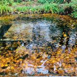 千岛湖自由行2日游～吸氧洗肺