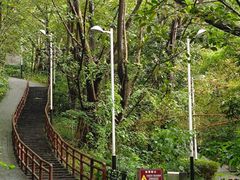 -水濂山森林公园