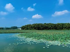 -大兴滨河森林公园