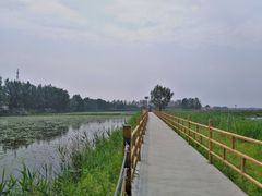 -白渔泡湿地公园