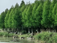 -滆湖低碳生态公园
