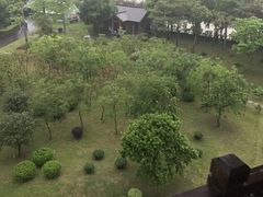 -大湾区中央湿地公园