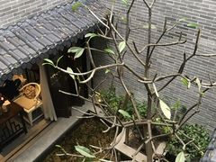 -归觅·西关小姐人文艺术馆(荔枝湾店)