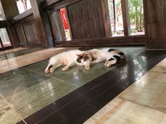 游乐设施-龙达温泉生态城