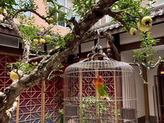 -南堂小馆·川菜馆(德商国际店)