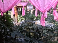 -威海天沐度假区温泉