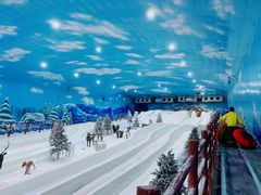 -世界之窗阿尔卑斯冰雪世界