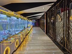 -中影佰纳国际影城DMAX(花都广百广场店)