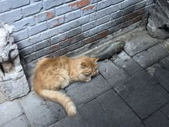 -后海16号·北京私房菜