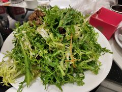 肉丝拌苦苣-好妈王饺子(滂江街店)