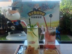 -柴犬高等学院·狗咖·柴犬售卖·宠物训练