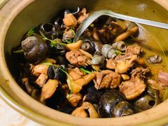 -食爺炭炉鸡煲·烧烤