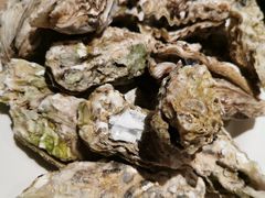 -星伦多自助料理·涮烤一体(杭州来福士店)