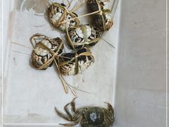 -蟹状元大闸蟹·年货·粽子(成都成华店)