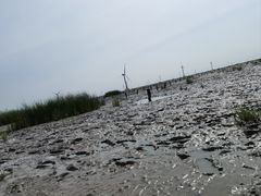 -小洋口旅游度假区