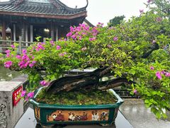 -惠州西湖风景名胜区-丰渚园