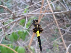 -北运河水利风景区