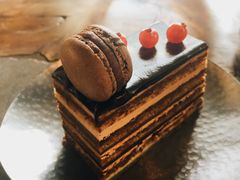 Opera-Tian品
