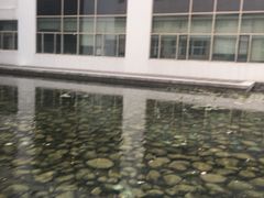 -中国医科大学附属盛京医院(南湖院区)