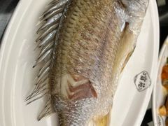 -吴记富苑(朝阳店)