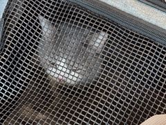 -爱侣·安琦尔宠物医院·中兽医针灸·心内科·狂犬免疫点(宝山区院)