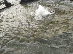 -百脉泉景区