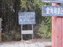 -望湖烤鱼