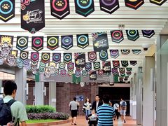 -香港大学