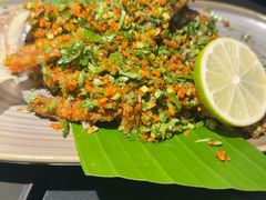 -Ameigo梅果·云贵川bistro(长宁来福士店)