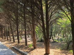 -秦始皇帝陵博物院-丽山园