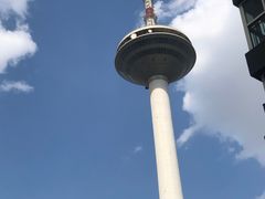-辽宁电视塔