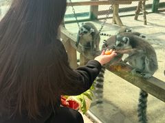 -水上乐园·欢乐世界