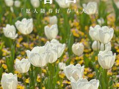 -苏州上方山国家森林公园