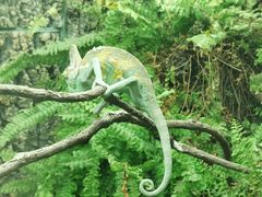 -广州长隆飞鸟乐园