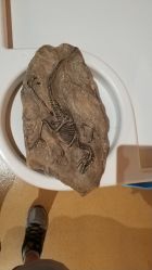 -北京科学中心儿童乐园