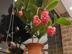 -第六季自助餐厅(北太平庄店)