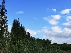 -上海体育场