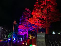 -别府杉乃井酒店