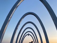 -大兴滨河森林公园