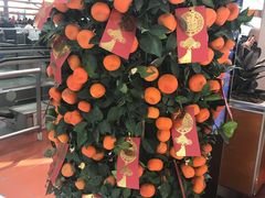 -翠华餐厅(香港国际机场店)