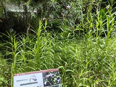 -中国科学院西双版纳热带植物园