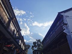 -阿鹏故事云南野生菌火锅(人民路店)