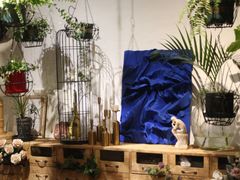 -蓝山四季西餐植物店