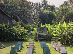 -大象粑粑造纸公园