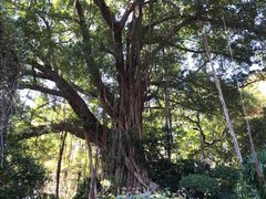 -乌山风景区